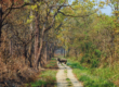 ThIngs-to-do-in-Chitwan