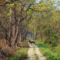 ThIngs-to-do-in-Chitwan