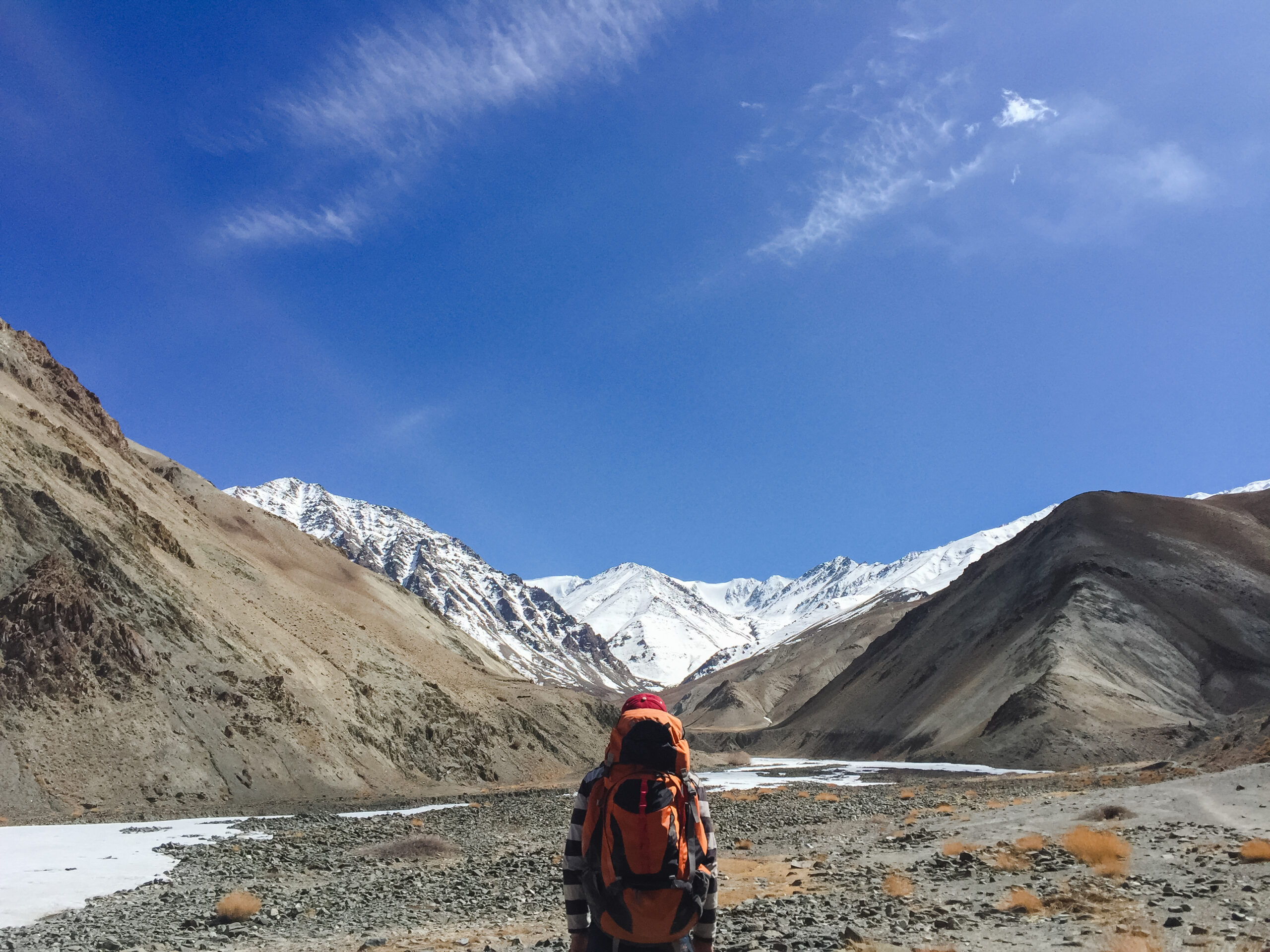 Mustang Trek
